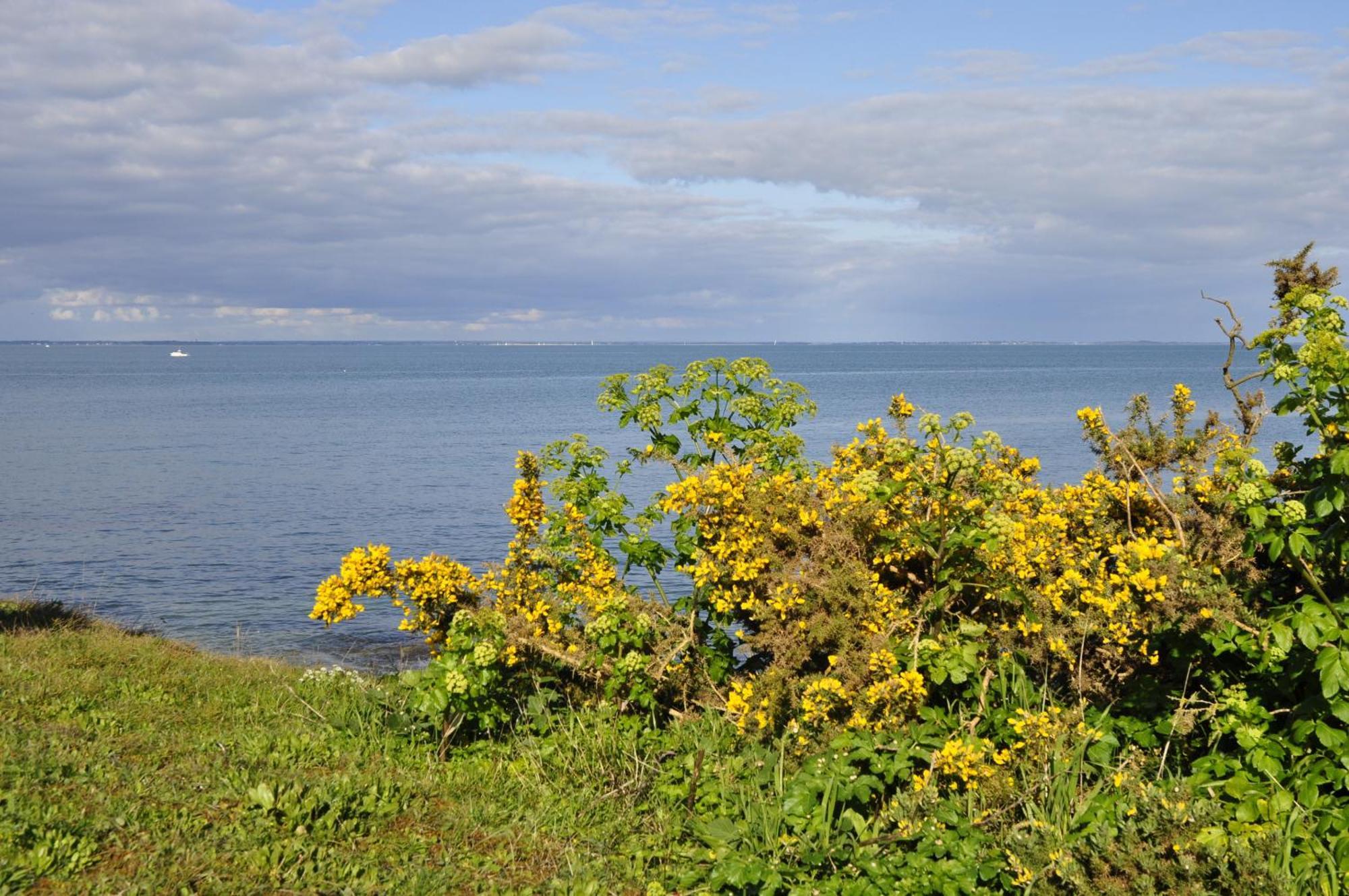 Panorama Vue Mer Quiberon Kamer foto